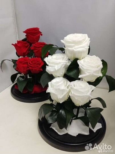 Подарок маме / Роза в колбе оптом