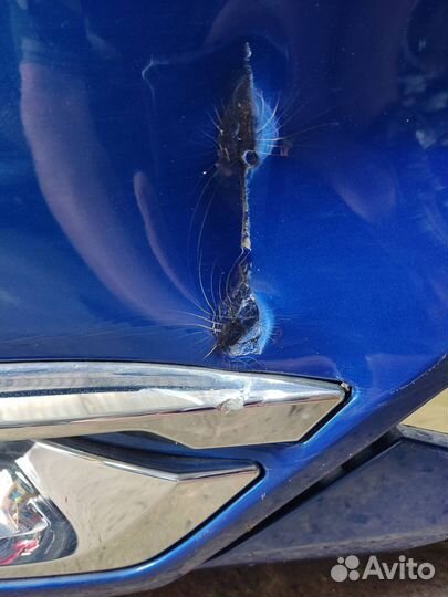 Бампер задний Haval F7