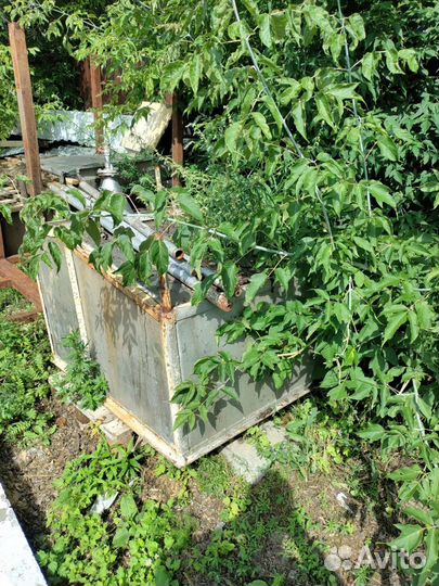 Емкость из нержавейки бу