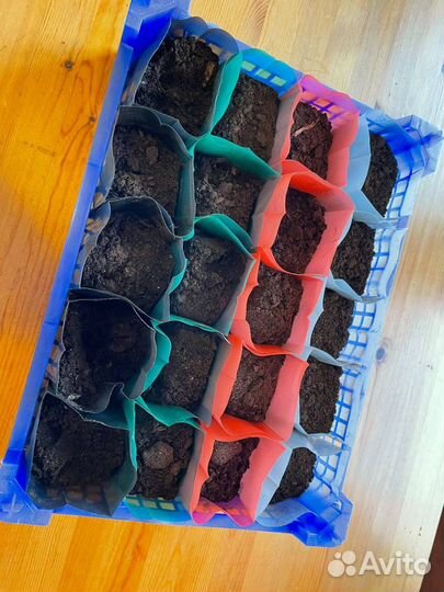 Пакеты для рассады 0,6 литра