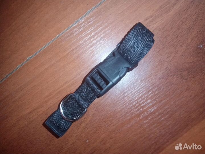 Амуниция для собак