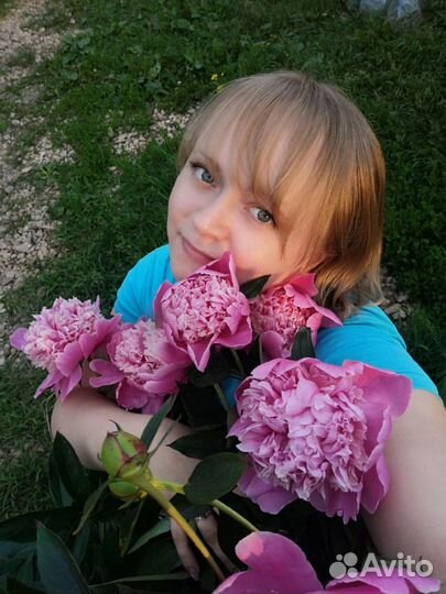 Саженцы садовых цветов