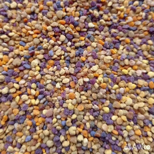 Пыльца, перга, прополис 2023 года