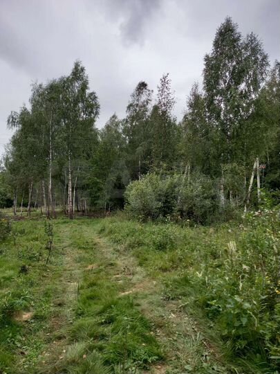 Участок 11,3 сот. (СНТ, ДНП)