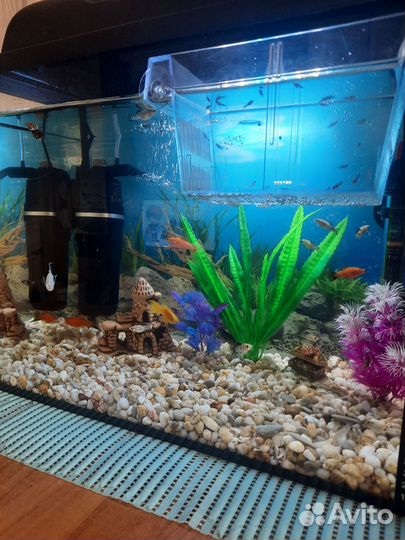 Аквариум
