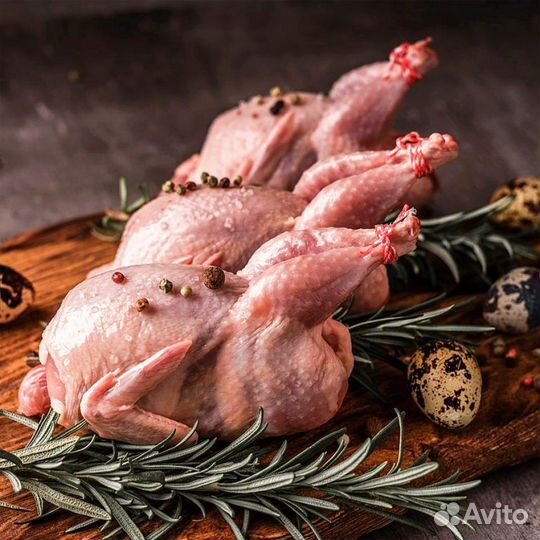 Перепелки тушки, корм для животных