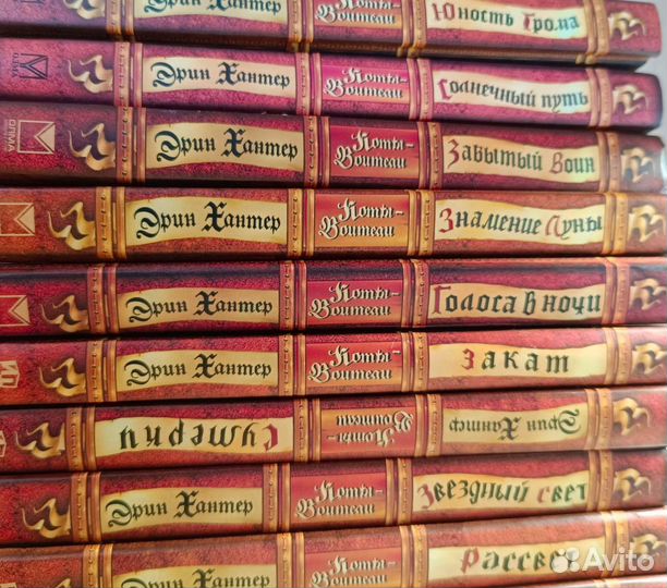 Коты воители - комплект