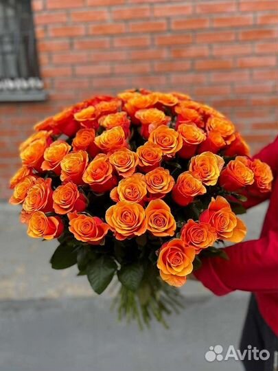 51 роза 80см с доставкой. Розы оптом