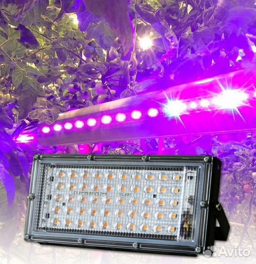 Фитолампа для рассады, растений