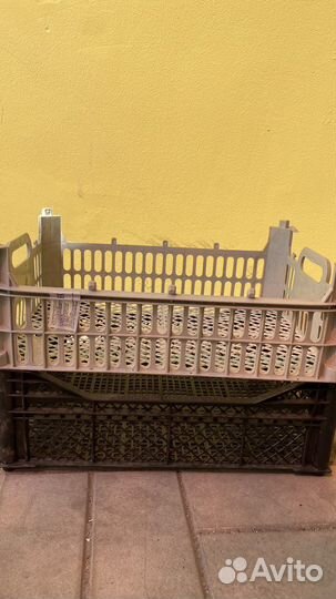 Пластиковые ящики для хранения овощей бу