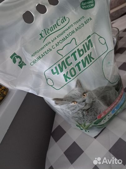 Кошачий наполнитель