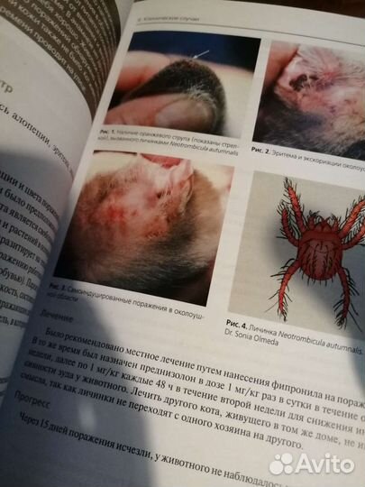 Болезни ушей собак и кошек. Клинические случаи