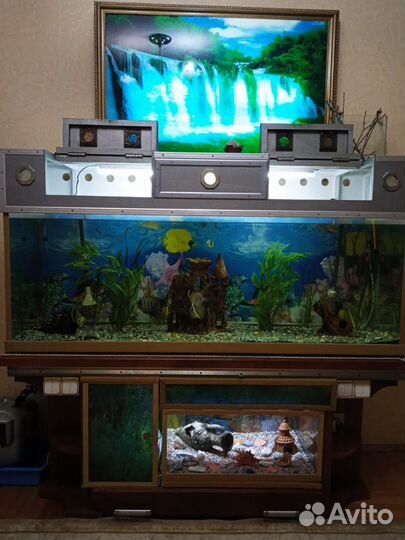 Аквариум
