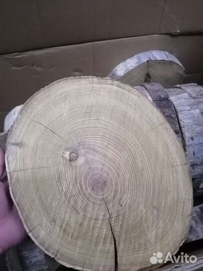 Спилы акации