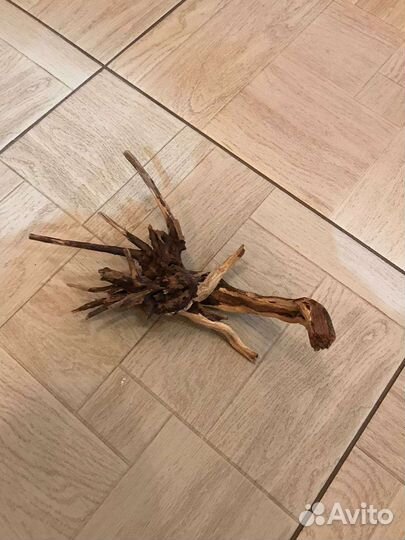 Коряга натуральная для аквариума и террариума