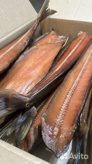 Продам кету холодного копчения