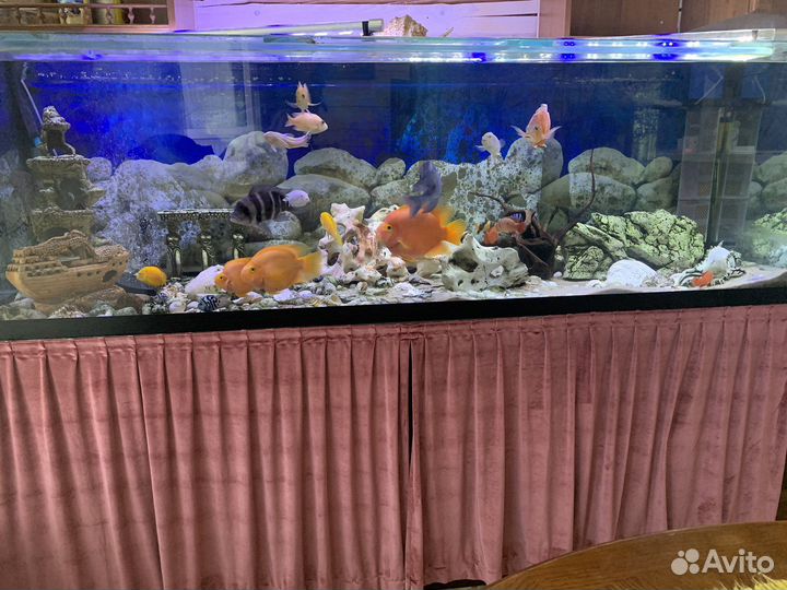 Аквариум
