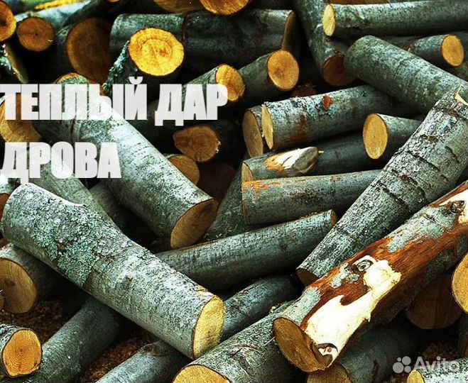 Дрова сухие