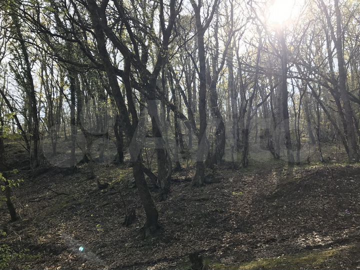 Участок 7 сот. (ИЖС)