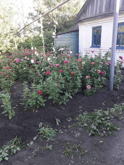 Дом 40 м² на участке 8 сот.