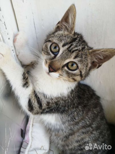 Девочка без имени