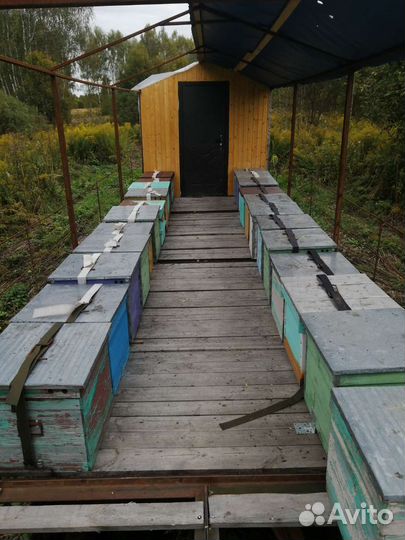 Телега для пчёл