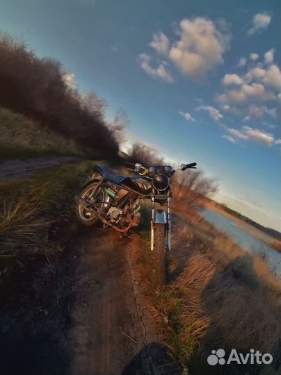 Альфа рейсер 72куба