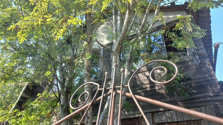 Дача 40 м² на участке 6 сот.