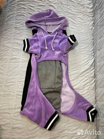 Одежда для собак