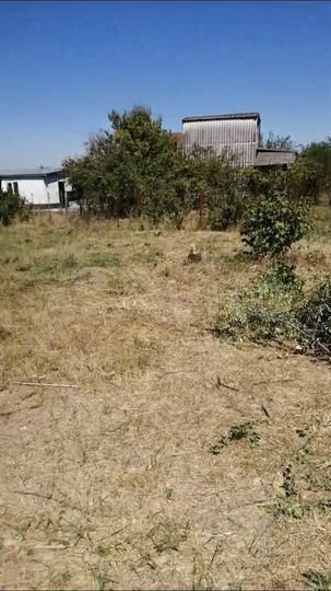 Участок 10 сот. (СНТ, ДНП)