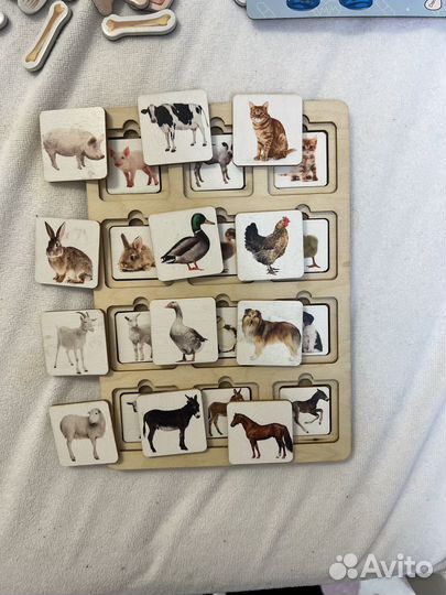 Развивающие игры пакетом