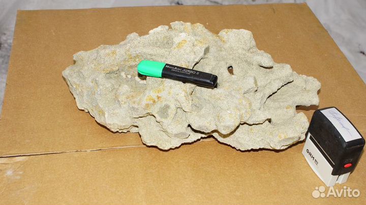 Кораллы в аквариум