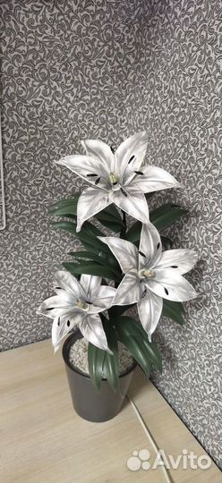 Лилии