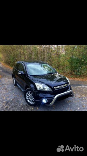 Кенгурятник