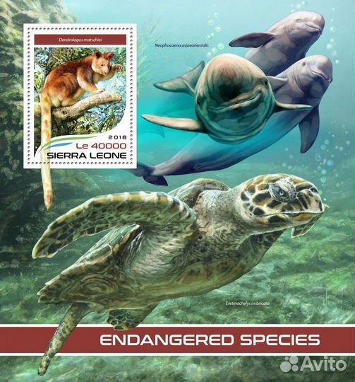 Сьерра-Леоне, 2018. (18305) Фауна, исчезающие живо