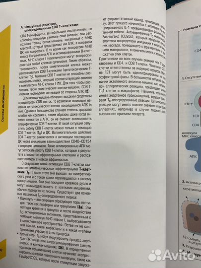 Наглядная аллергология М.Рёкен