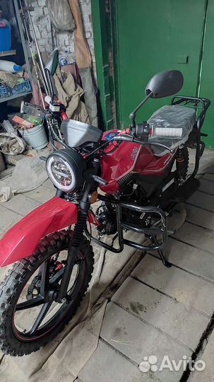 Alpha 110