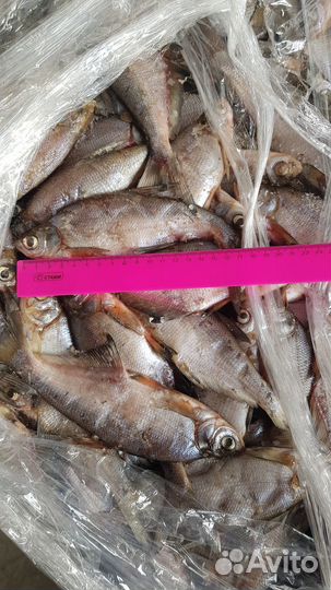 Ряпушка с/м 17+