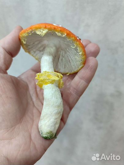 Ватная игрушка Мухомор