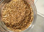 Зерно пшеница ячмень кукуруза комбикорма
