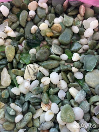 Камни, камешки и раковины устриц с Черного моря