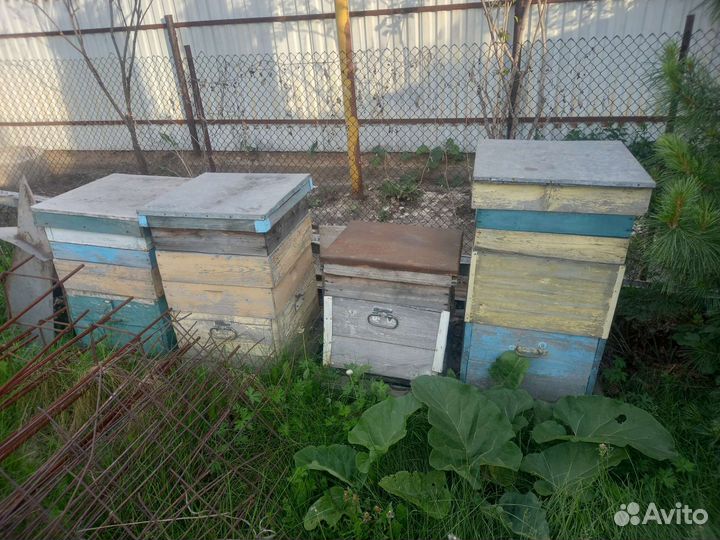 Улей для пчел бу