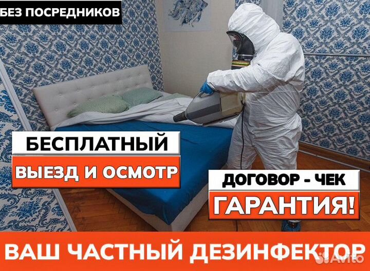 Уничтожение клопов тараканов дезинфекция плесени