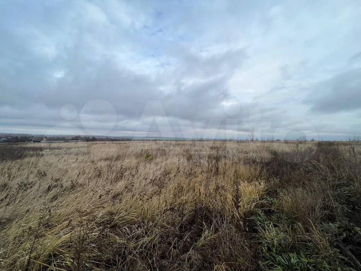 Участок 66,52 га (ИЖС)