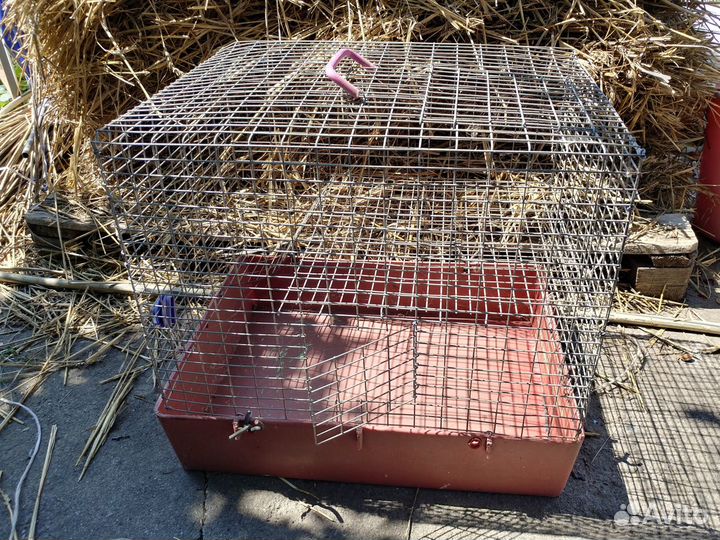 Клетки для животных
