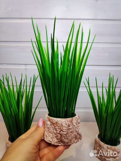 Искусственные цветы Осока в гипсовом кашпо