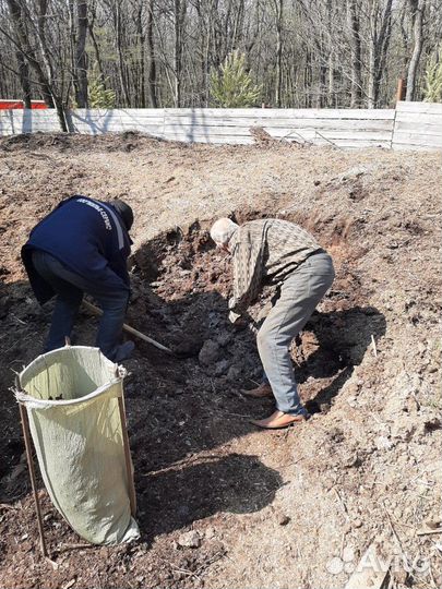 Конский навоз