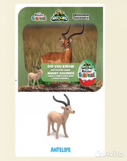 Kinder игрушки Natoons