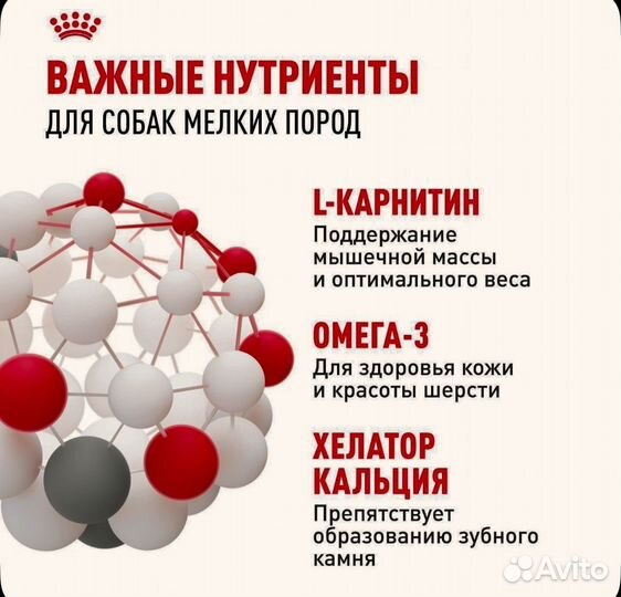 Сухой корм для собак Royal Canin Mini Adult