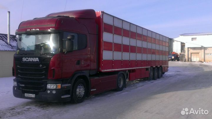 Грузоперевозки фура услуги перевозки